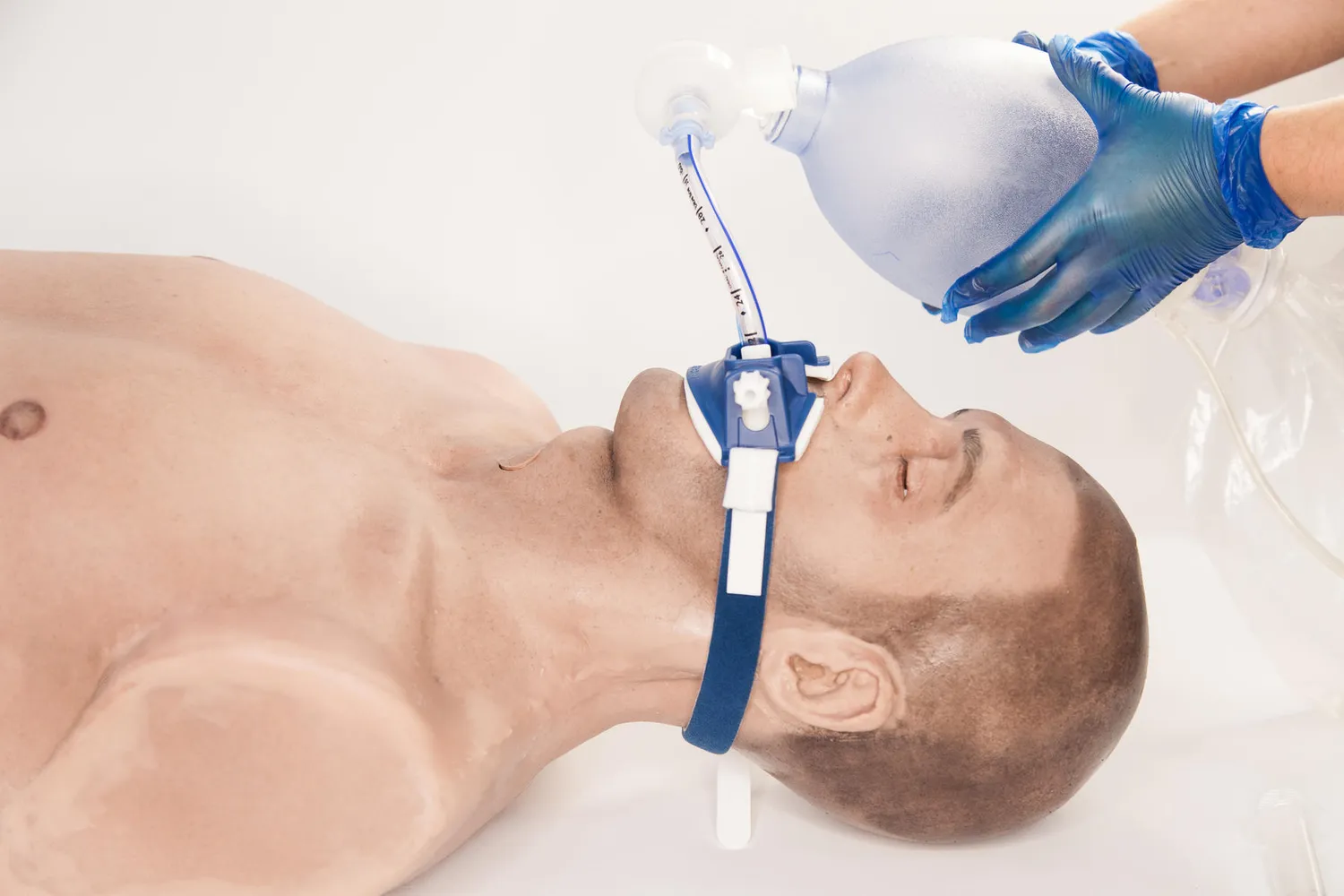 Water-Jel Airway Trainer luftveistrener modell