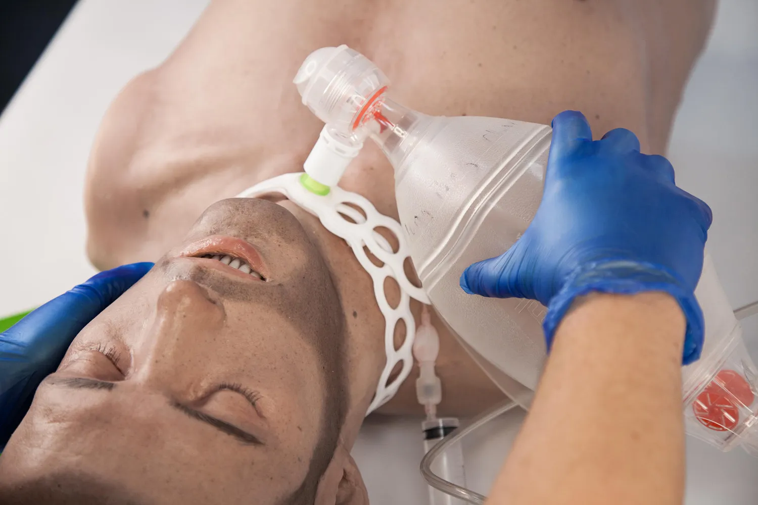 Water-Jel Airway Trainer luftveistrener modell